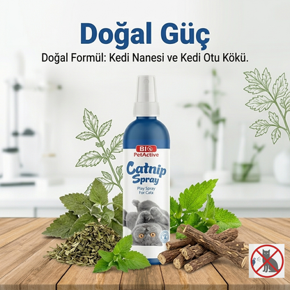 Catnip Kedi Oyun Spreyi