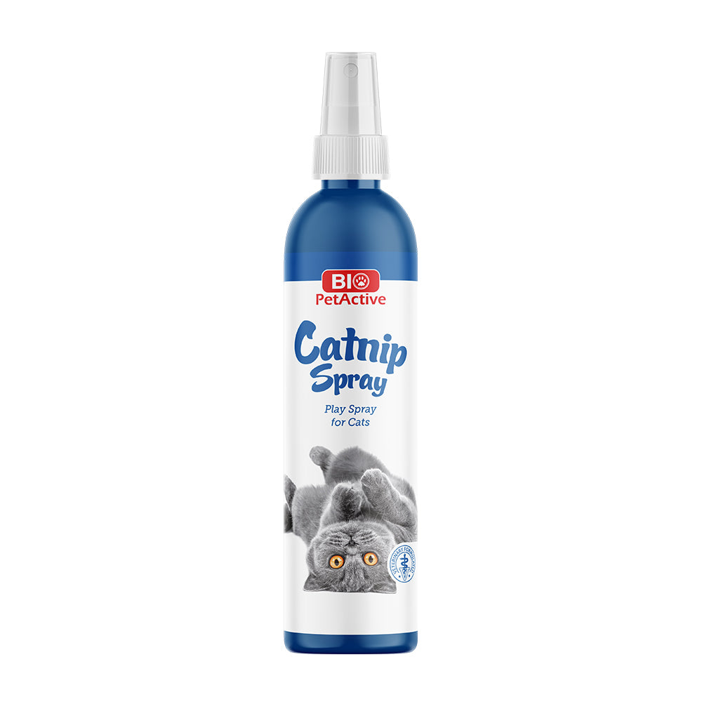 Catnip Kedi Oyun Spreyi