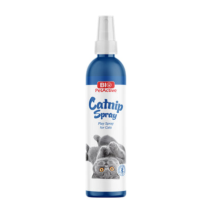 Catnip Kedi Oyun Spreyi