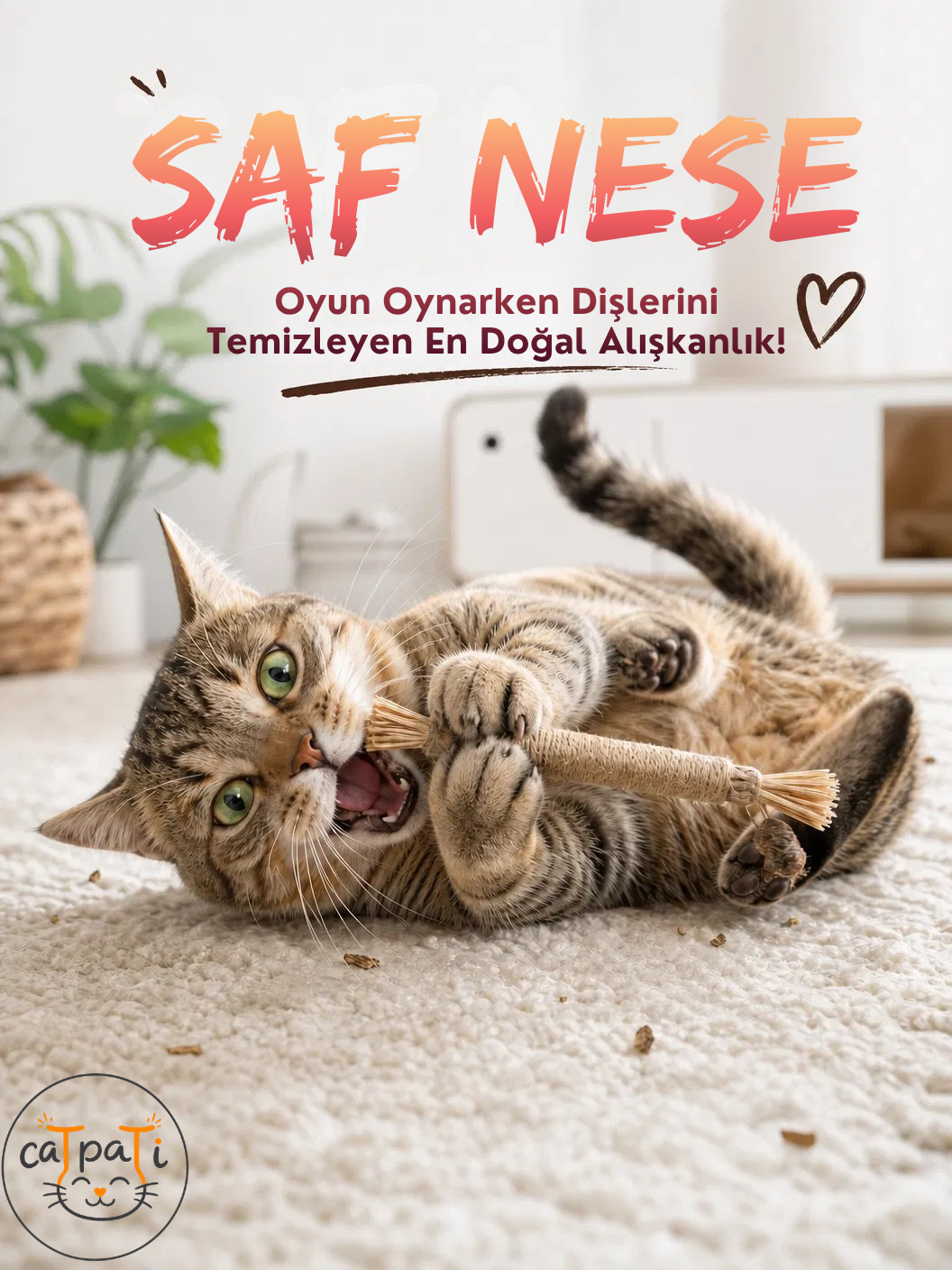 CaTpaTi Diş Çubuğu®