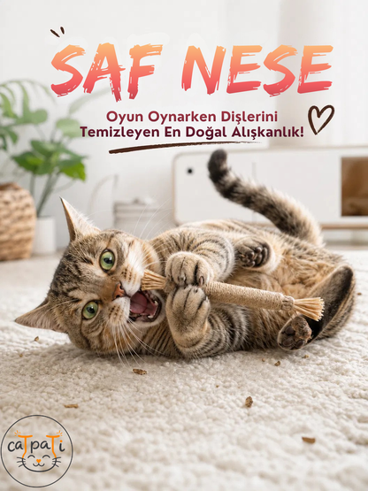 CaTpaTi Diş Çubuğu®