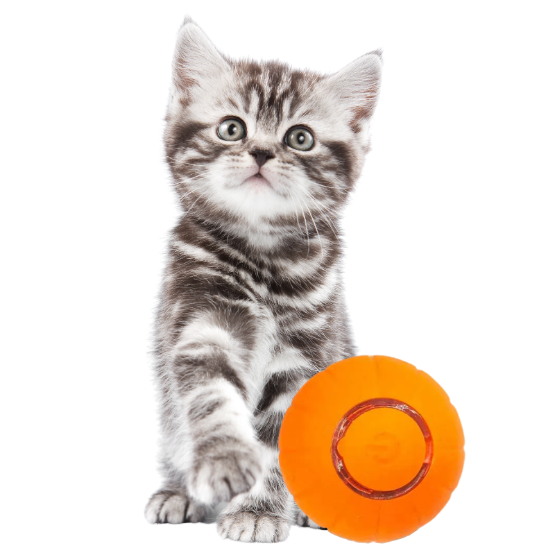 CaTpaTi Ball
